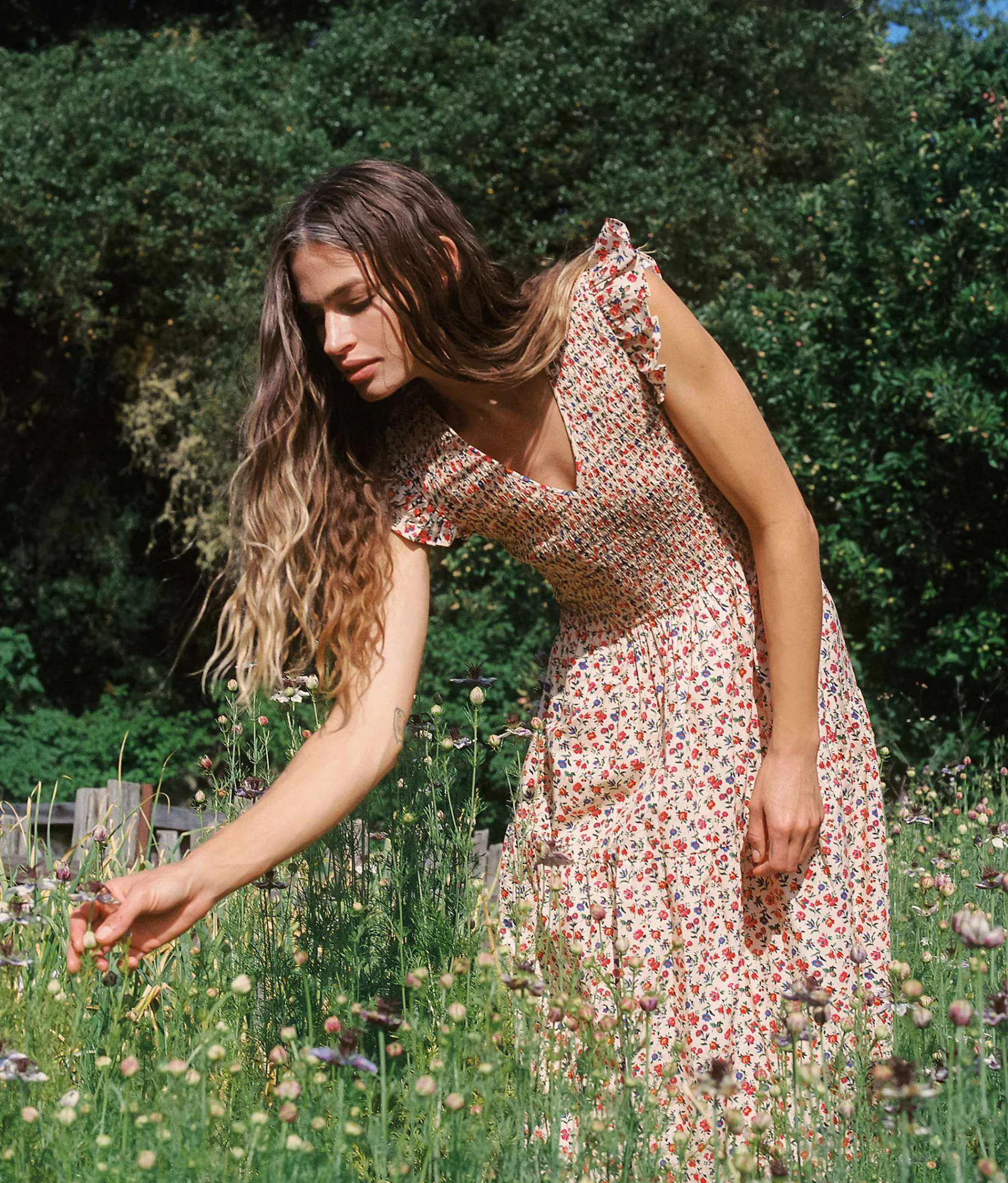 The Bodie Dress