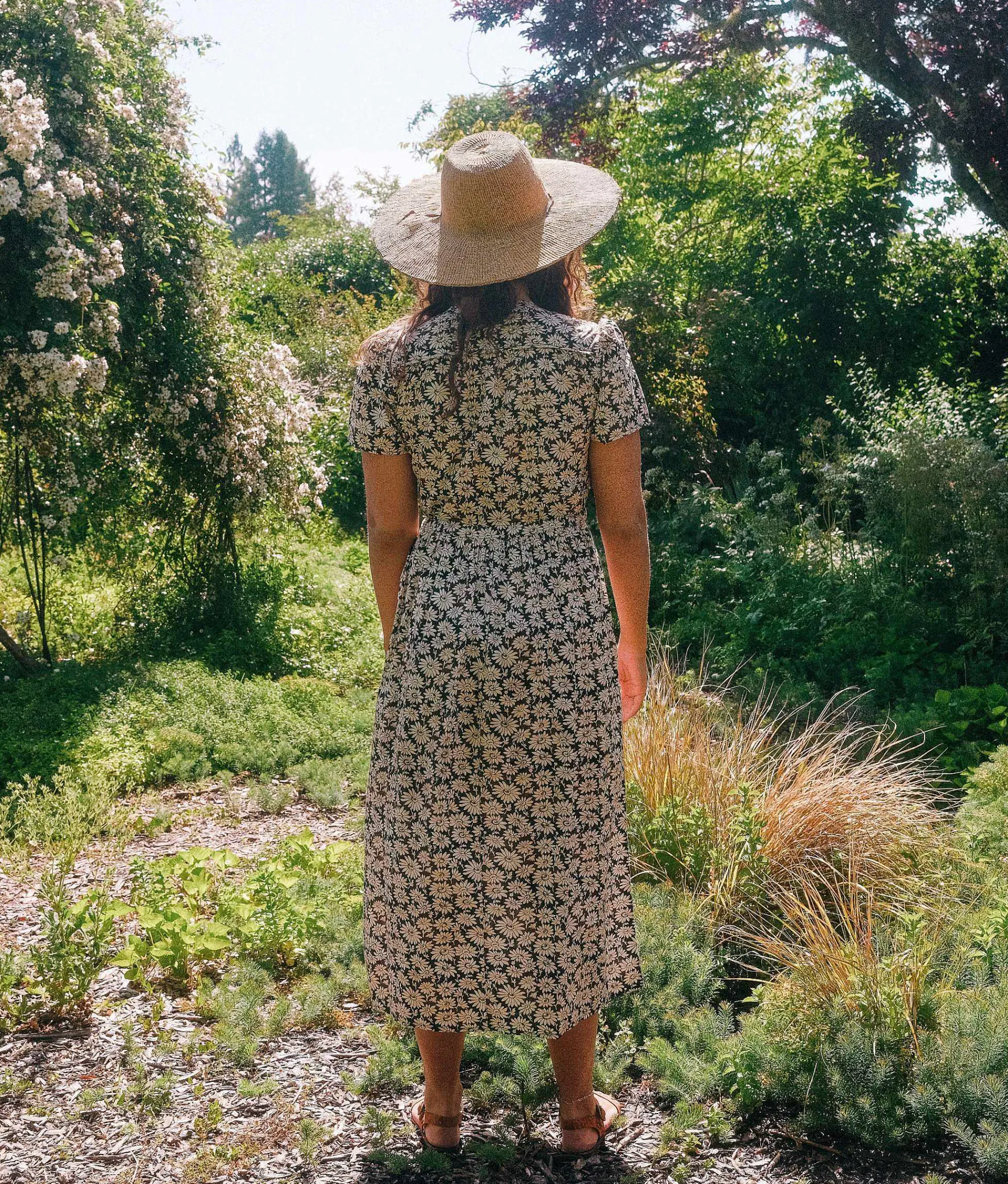 The Dawn Dress Petites