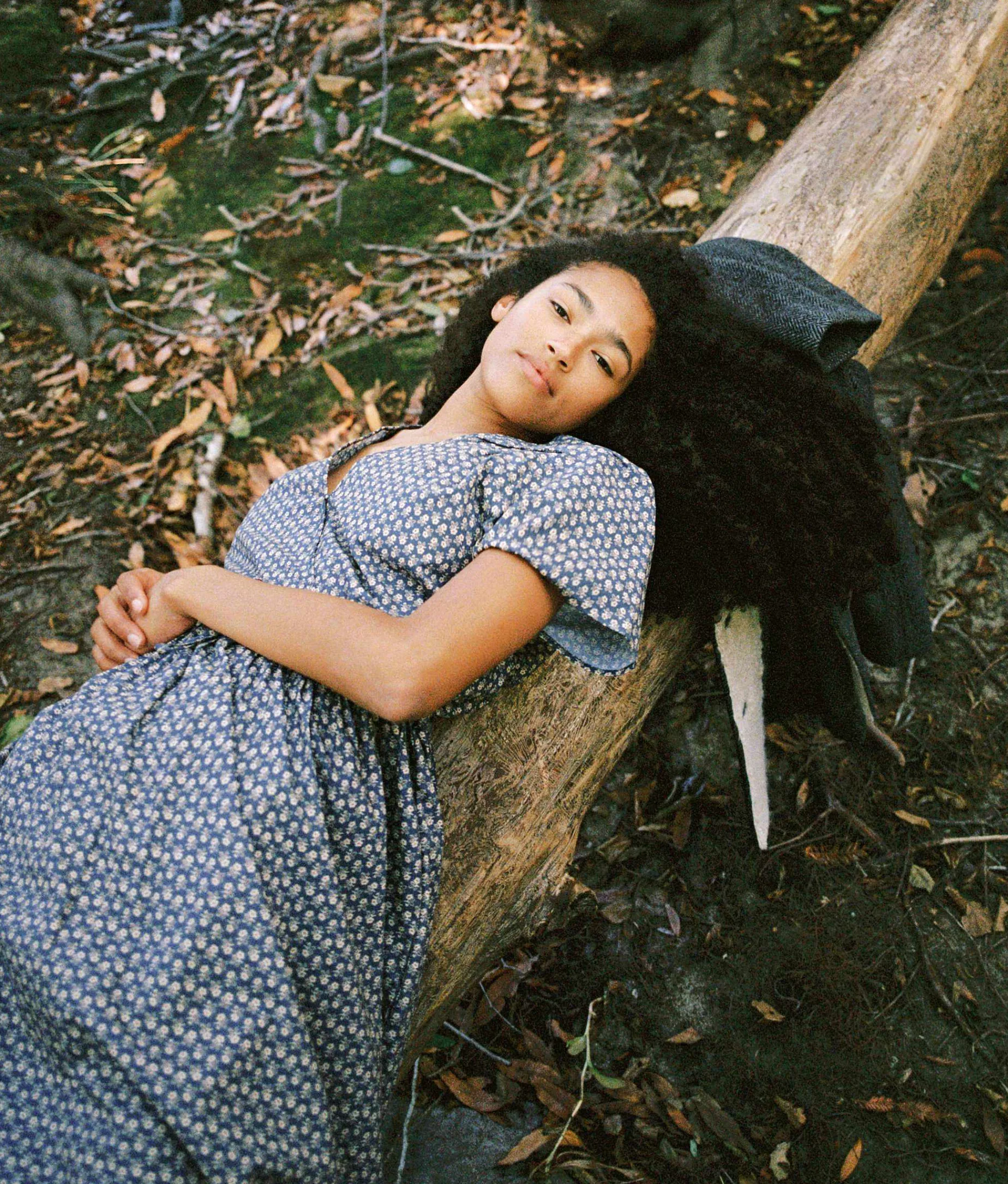 The Dawn Dress Petites