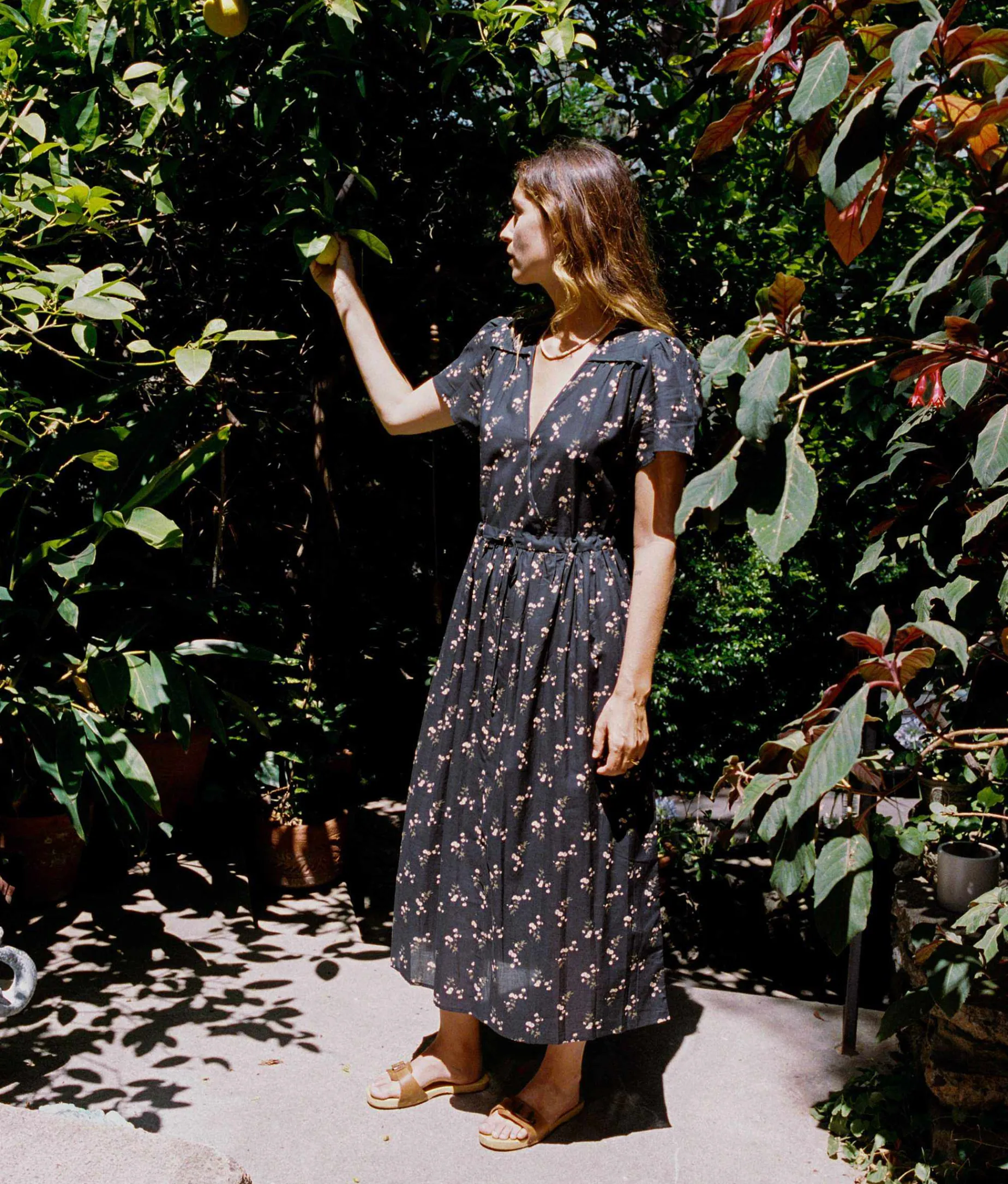 The Dawn Dress Petites